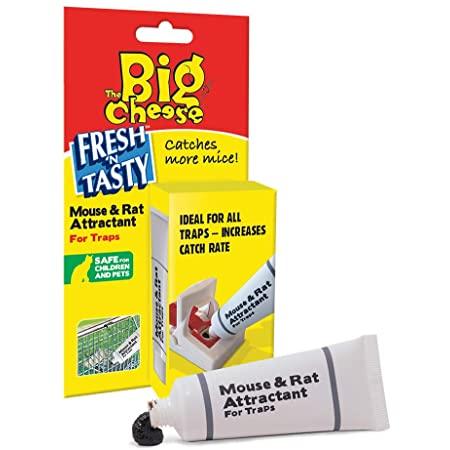 Rat and Mouse trap bait