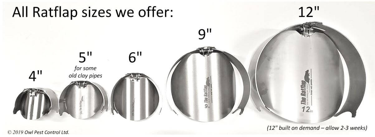 Rat Flap - Owl pest control Dublin