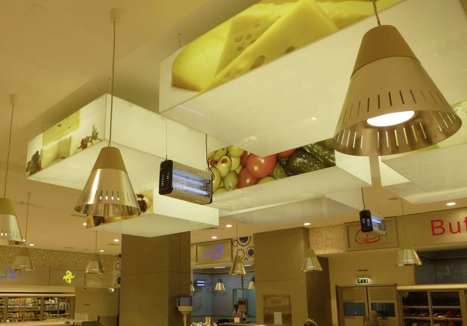 EXOCUTOR 80watt Stainless Electric Fly Killer - Owl Pest Control Products Ireland