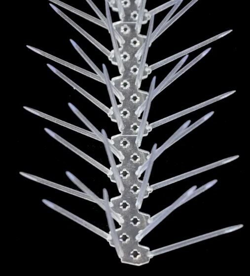 Big and Small Bird Spikes - Image 2