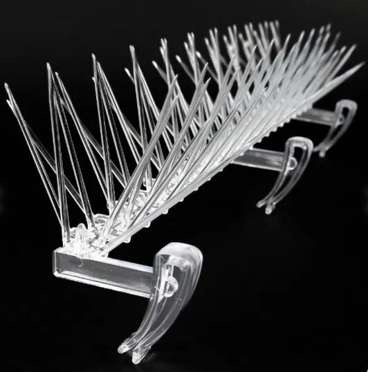 Thistle small bird spikes - deter starlings sparrows swallows gulls pigeons - gutter clip 3
