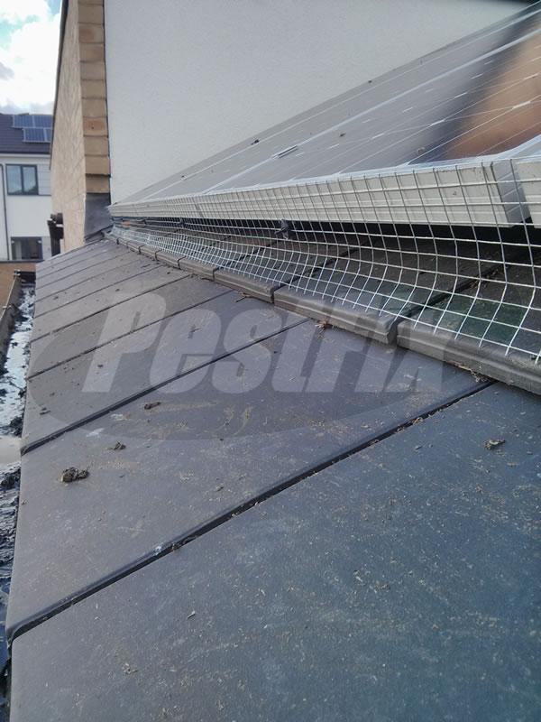 solar panel bird mesh fitted - Owl Pest Control Products Ireland