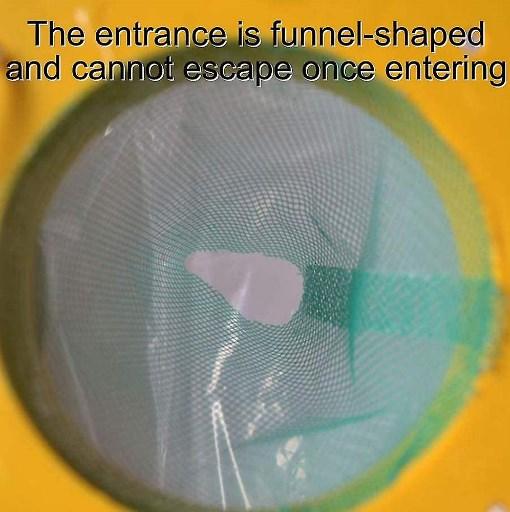 red-top-best-fly-trap-catcher-Owl-Pest-Control-Ireland-2