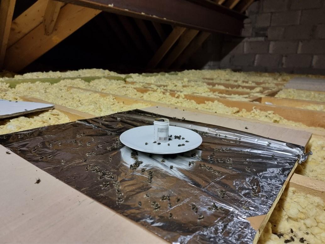 smoke-bomb-generator-fumigation-fumer-fogger-cluster-flies-3s