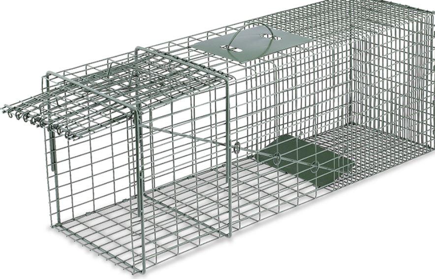Cage-fox