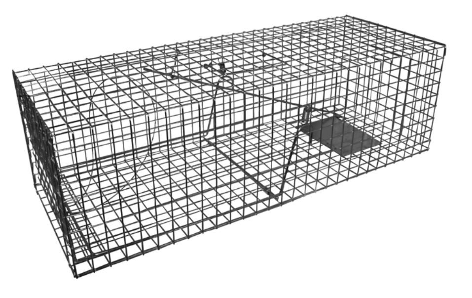 Cat Trap Cage