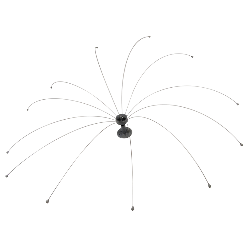 daddi long legs rotating bird spider - Owl Pest Control Products Ireland