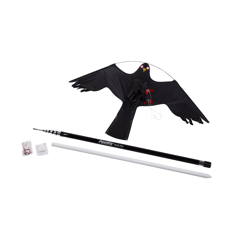 hawk kite kit