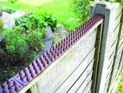 Cat Spikes Owl Pest Control Ireland