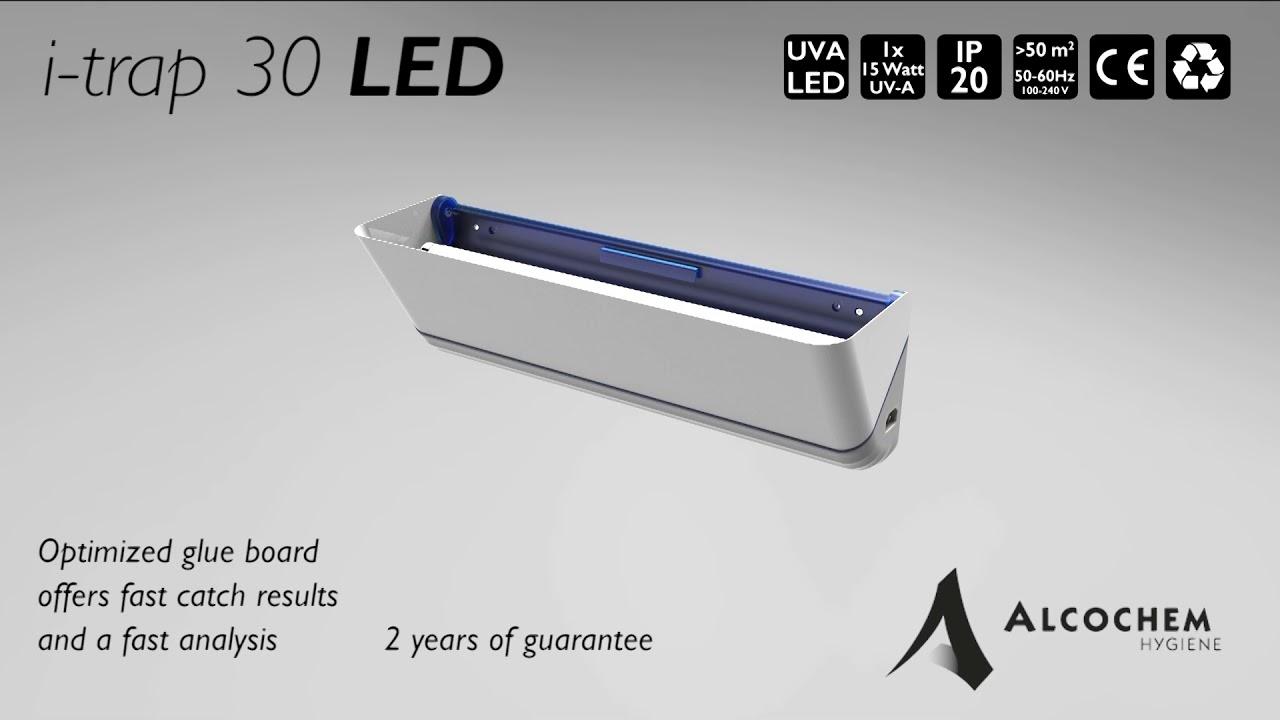 LED-Uplighter Glue Board Fly Killer 6