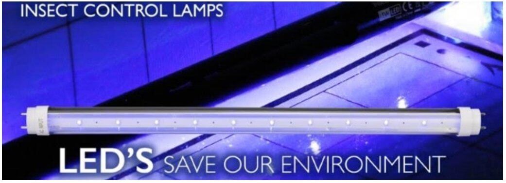 LED Bulb - Owl pest control Dublin
