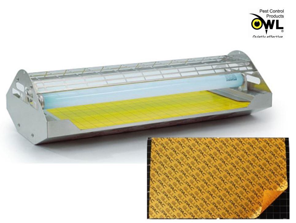 FTP40-Flytrap-Professional-fly-killer-glue-boards-replacement-1