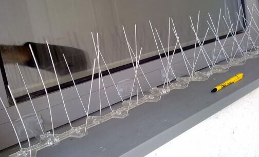 Bird spikes fitted to a window ledge 2 Owl Pest Control Ireland