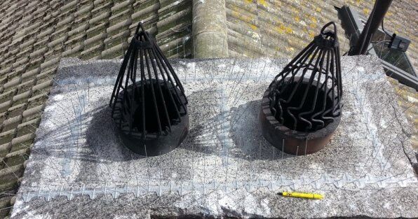 Seagull Spikes Chimney - Owl Pest Control Dublin