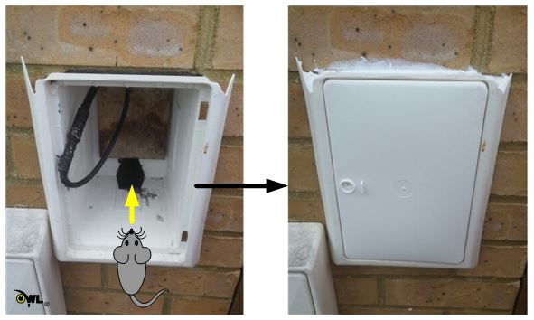 Possible Rodent entry Point-Owl Pest Control Ireland