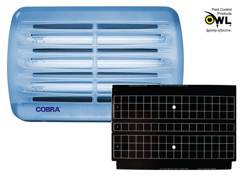 BRANDENBURG fly killer glue boards replacement