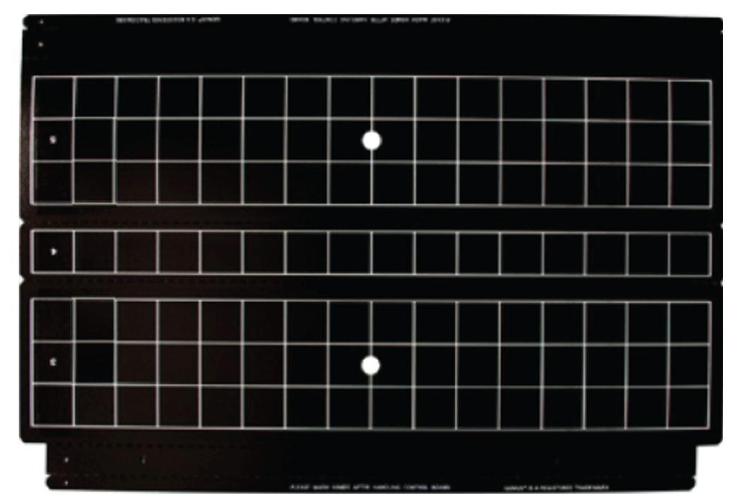 BRANDENBURG-viper-liberator-cobra-plasma-fly-killer-glue-boards-replacement