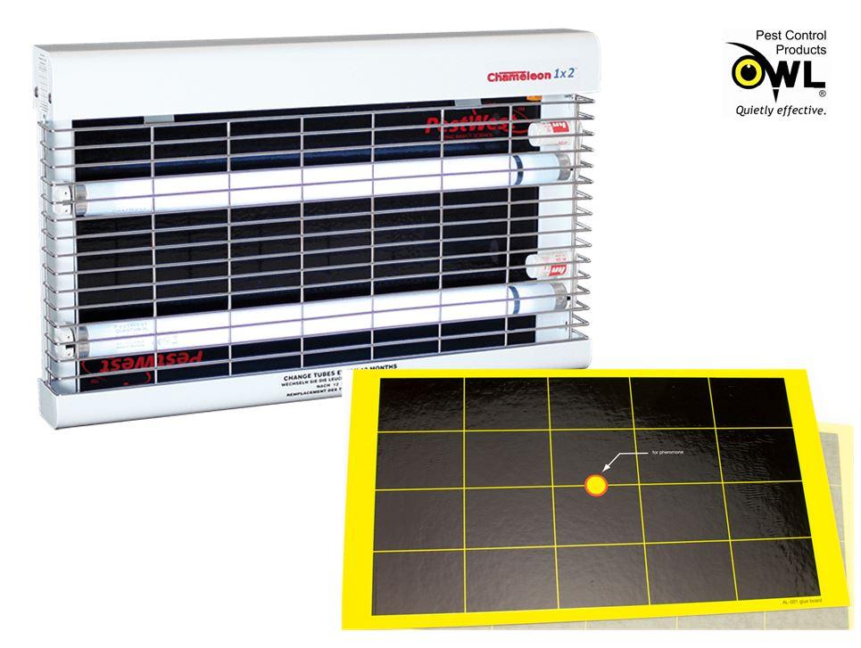 CHAMELEON fly killer glue boards replacement