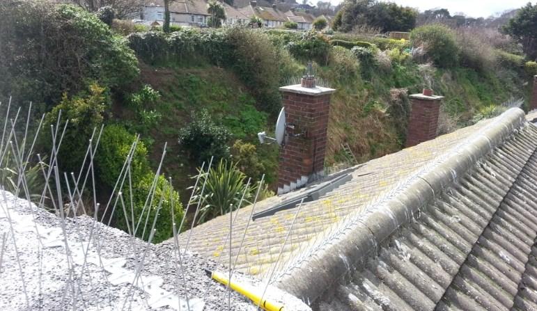 Fitting-gull-spikes-on-roof