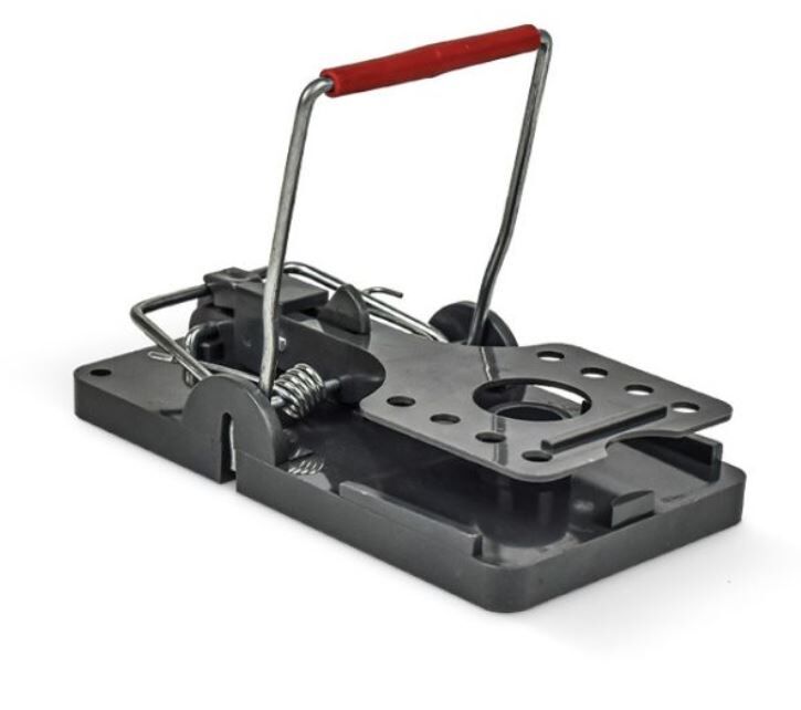 Rat Snap Trap grey