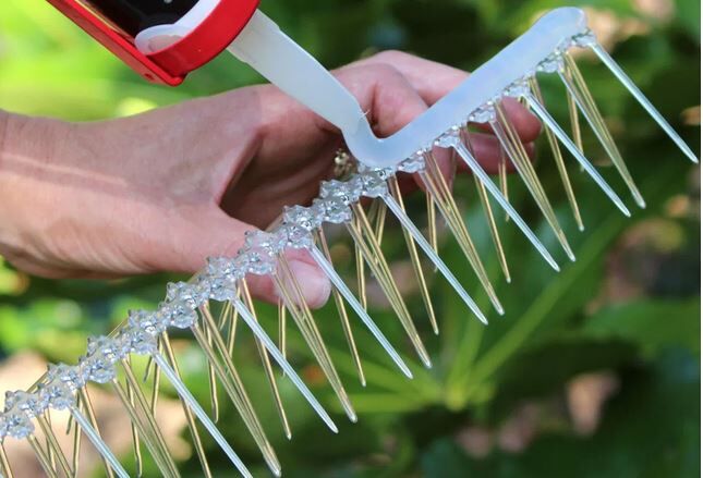Thistle small bird spikes - deter starlings sparrows swallows gulls pigeons - 5
