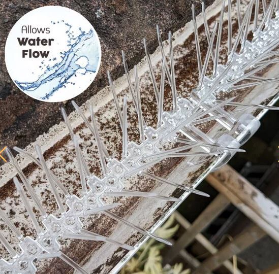 Thistle small bird spikes - deter starlings sparrows swallows gulls pigeons - gutter clip 4