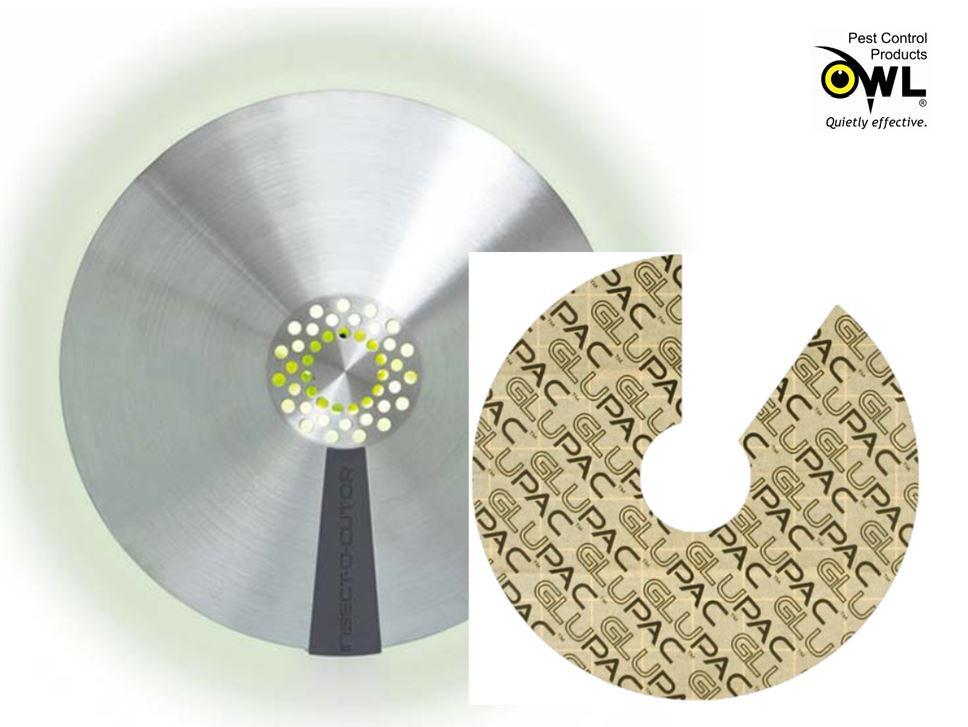 aura fly killer glue boards replacement