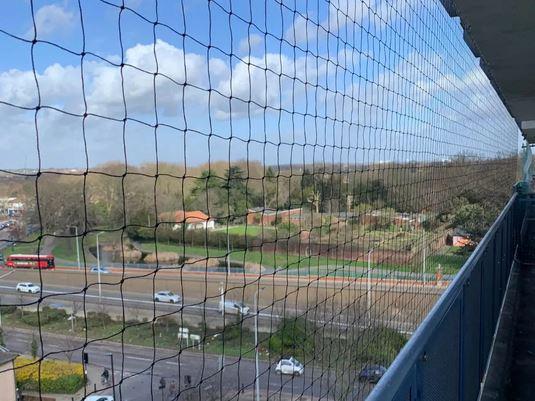 bird-netting-pigeons-1