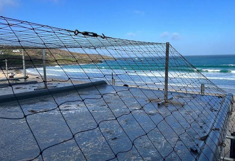 bird-netting-pigeons-3