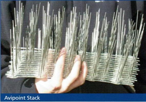 network avipoint bird spikes stack