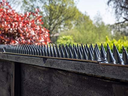 Cat Spikes-Owl Pest control Ireland