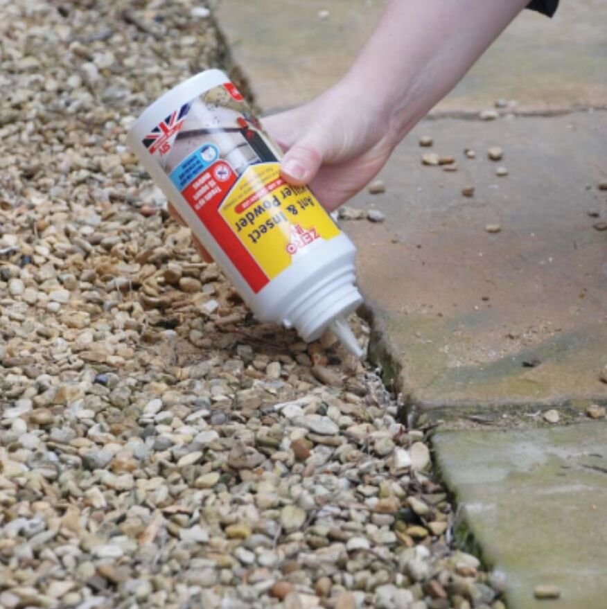 Zero In Ant Killer Powder 03